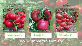 Agriculture Report Ovidiu Ghinea P1 05 03 2026