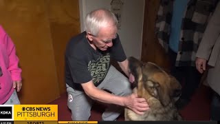 Welcome home Flame  #dog #news 