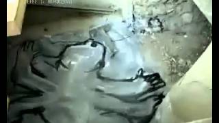Aeon Flux - Dubstep.mp4