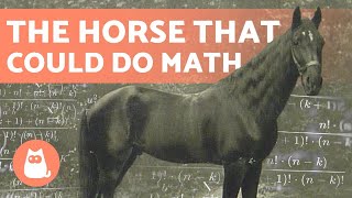 (CLEVER HANS) 🐴➕ The HORSE That Learned MATHEMATICS
