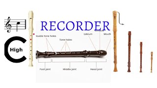 Music Secrets || INTRODUCTION TO RECORDER INSTRUMENT||