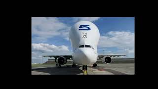 The Beluga Airbus hungie💀💀💀💀 Credits to: @RMFC-h5j @walkbyfeet