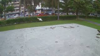 Flying Fuselage Airwolf (XK K130)