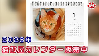 2026 Cat Room Calendar Release Announcement