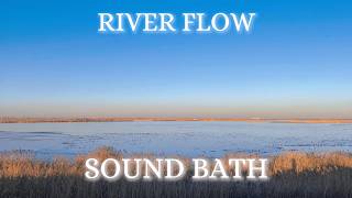 Crystal Clear River Sounds for Deep Relaxation and Sleep#nature #bowl