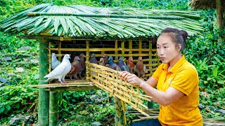 How to weave bamboo to make a bamboo house for pigeons, harvest corn to sell at the market