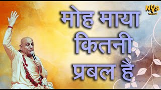 2nd फरवरी 2026 ।। मोह माया कितनी प्रबल है ।। मंगल आरती प्रवचन ।। केशव कुंज, वृन्दावन ।।_HD