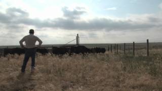 Agriculture: What a Wonderful World