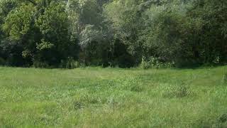 Homes for Sale - 0 E College St, E, Pulaski, TN