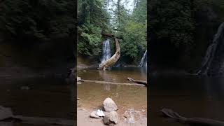 enjoy the hike