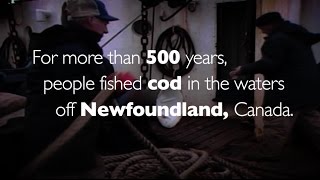 A Fisherman's Story