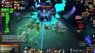 Gorefiend Zerg Druid Tank POV