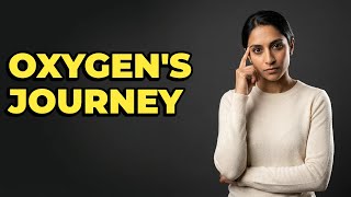 How Do Partial Pressures Influence Oxygen Transport?