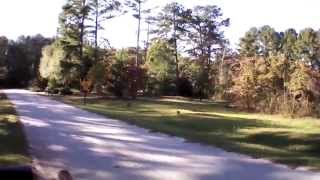 Learning to fly... I think....