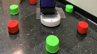 Viguar - the robot learning to approach and avoid objects