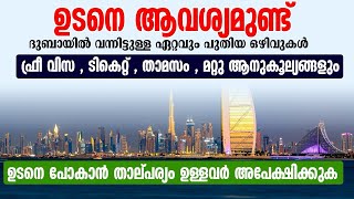 Semi Govt Jobs/Abu Dhabi Jobs/Dubai Airport Jobs/latest Gulf Jobs 2025 Malayalam / job vacancy