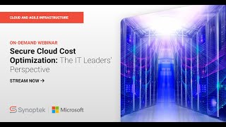 Secure Cloud Cost Optimization: The IT Leaders’ Perspective