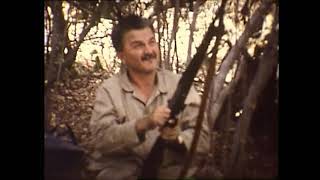 Elephant Hunt From 1970 #animals #hunting #fyp