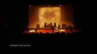 Scarab - Live in Alexandria, Egypt