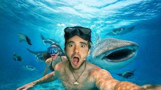 We swam among HUNDREDS of MANTA RAYS and WHALE SHARKS 🦈 🌊 | HANIFARU, Maldives 🇲🇻