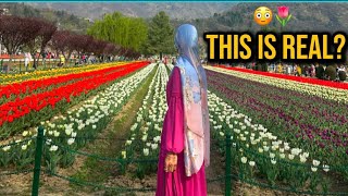 DON'T Go To Tulip Garden Srinagar 2026Without Watching This!