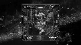 KOTA - Wild Spirit - Dark Line (Techno) - SINTEZO RECORDS - STZ2514