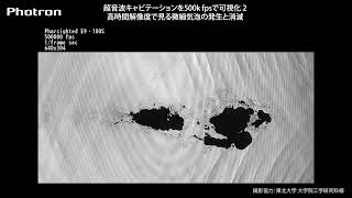 超音波キャビテーションを500k fpsで可視化2：高時間解像度で見る微細気泡の発生と消滅【フォトロン｜ハイスピードカメラ】