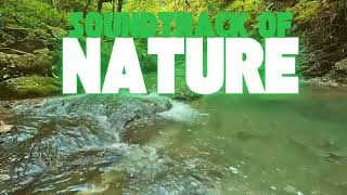 Soundtrack Of Nature - Cinematic & Ambient Music for Content Creators | Free No Copyright Music