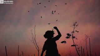 Thirty (30) minutes of magical moments. Beautiful piano for better relaxation and sleep with birds