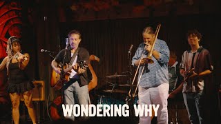 Wondering Why — Tremora (Red Clay Strays Cover) @tremoramusic 