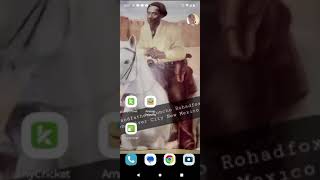 Are black people Native American??
