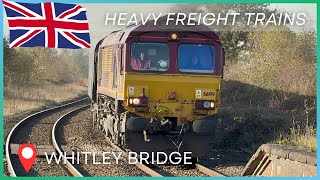 DRAX Biomass Freight Trains | Pontefract Line (13/11/24)