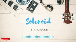 #stradalunii #music #rock #relax Solenoid