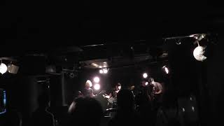 2020年3月19日daisybar2