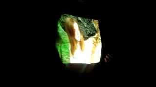 Amy Fox : Are We All In It Together (2012)