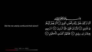 Al Fil, Al Quran Surah 105, Saad al Ghamdi