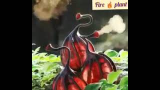 fire plant 💐