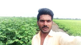 Desi Dilip Aadivasi Vlog देसी 😭🏹🏹