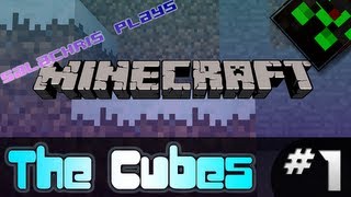 Salachris Plays Minecraft Maps: The Cubes EP. 1 - Awkward Books?!?!?