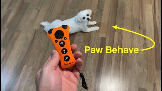 Ultrasonic Dog Training Device | Paw Behave 