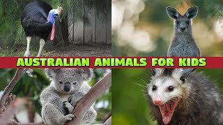 AUSTRALIAN ANIMALS FOR KIDS