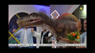 Nicolae Datcu - Hai Noroc Si Bine ft. T-Rex