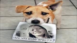 Minhas  Partidas  De  Truco Com A Liah Freitas ♥