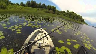 Kayak bass fishing in Victoria Horbour Hog bay