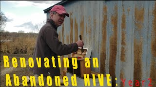 Primavera Hive #106