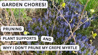 Garden Chores & Why I Don't Prune My Crepe Myrtle Tree