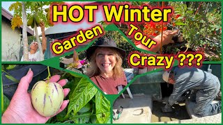 Garden Tour Tons of Growing TIPS Container Gardening, Tote Garden Raised bed Garden with Nature