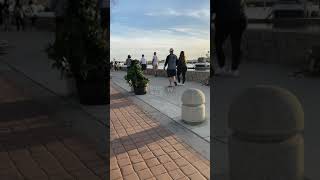 Bush Prank Reactions 🌳 ( #GrindFaceTV )