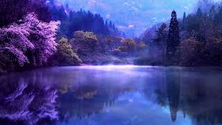 Tranquil Oasis: Calm Meditation Instrumental Music for Inner Peace
