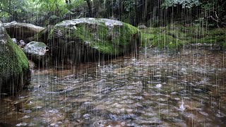 Rain sounds for deep sleep | Relaxing scenery | Healing ASMR to blow away insomnia and tinnitus